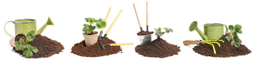 Set of gardening tools and soil isolated on white