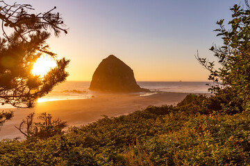 Cannon sunset coast nature beach landscape
