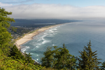 View Oregon Coast  Nature beach landscape pine trees