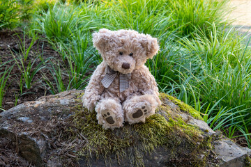 Sad teddy bear sits alone on the stone on the green grass background. Loneliness concept