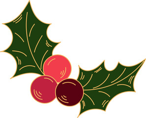 Colorful crhistmas holly branch with berries, icolated on white background