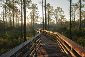 Nature Trail in Alabama