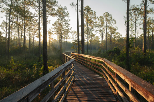 Nature Trail in Alabama