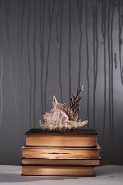 The shell lies on old books against the background of rain
