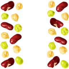 手描き水彩のミックスビーンズイラスト正方形フレーム・左右