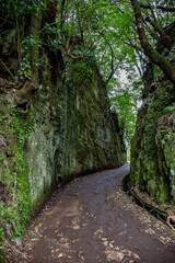 Fototapeta premium Madeira island in autumn 