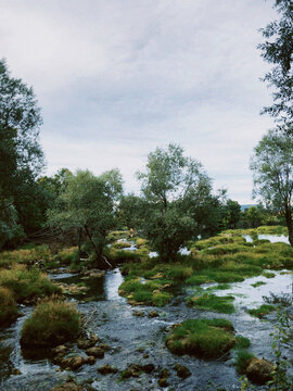 Beautiful photo of a river and green nature