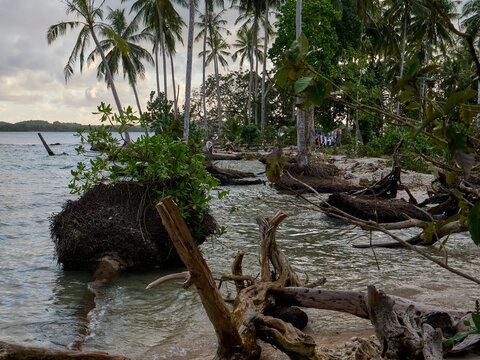 Rising sea levels at high tide, king tide, island coast erosion damage