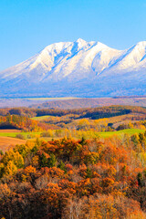 十勝岳連邦と紅葉する大地