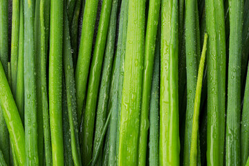 Fresh green spring onions with water drops as background, top view