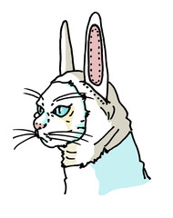 うさみみをつけた猫