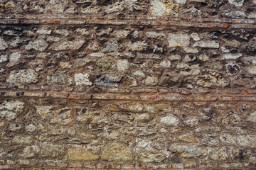 Yellow moss on a gray wall. Background wall, Moss texture.