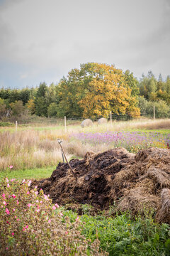 Organic compost in a farm&acirc;s garden