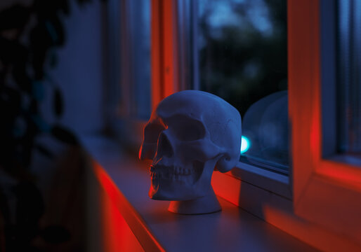 Skull near the window