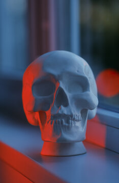 Skull in closeup