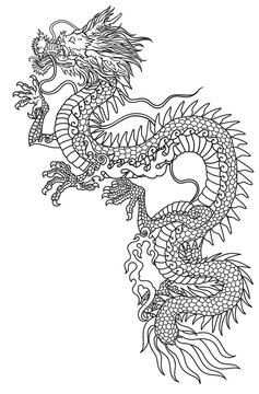 Chinese or Eastern dragon . Traditional mythological creature of East Asia. Tattoo.Celestial feng shui animal. Side view. Graphic line art. Isolated vector illustration