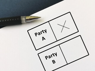 Questionnaire about election
