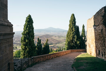 Mount Amiata and cypress trees