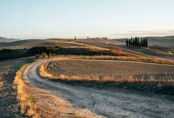 Cypress trees and road in Tuscany at sunset