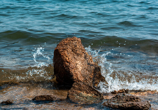 Rock in the Water