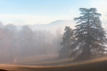 paysage brumeux, ombre et lumière 