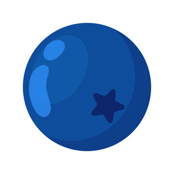 blueberry flat vector illustration clipart isolated