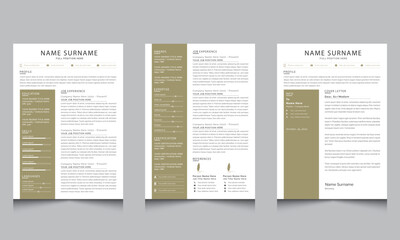 Clean and Professional Resume and Cover Letter Jobs CV Template Design
