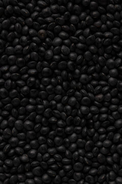 Closeup of black beluga lentils