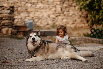 Girl and Husky dog on ground.