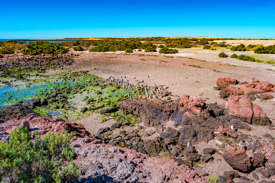 Panoramic over arid pampas coastline at Atlantic ocean in Nature Reserve Punta Tombo known for Magellanic penguin rookery and breeding colony, Patagonia, Argentina
