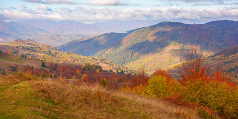 beautiful mountain landscape with valley. sunny morning in carpathian countryside. trees in colorful foliage and rural fields on the hills