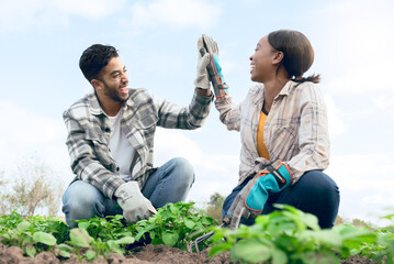 Farm, high five and man and woman celebrating farming success during harvest in a plantation...