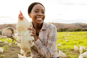 Chicken, farmer and smile in animal farming, agriculture and startup business outdoor in South Africa. Portrait, black woman and happy while working with animals on poultry farm with countryside life