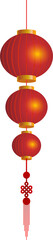 Obraz premium Chinese Lantern