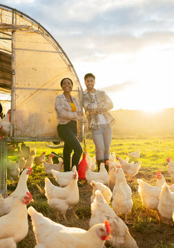 Chicken, farm and man and woman portrait of farmer team working together in agriculture farming. Barn, poultry and interracial couple on hen farm or animal field in the summer nature at sunset