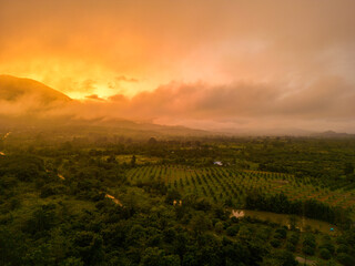 The Mountain Forest on Background of Sunset. Dramatic Sunset Sky