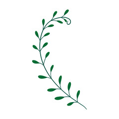 Green Leaf Decoration