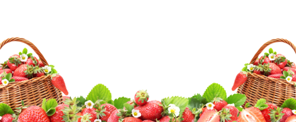 Strawberry fruit isolated