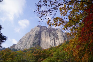 Obraz premium 도봉산 단풍 autumn in the mountains 