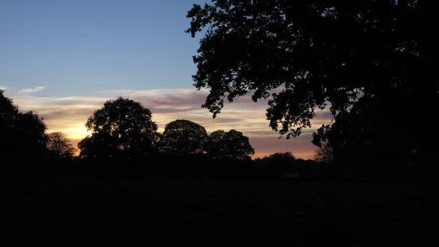 In the night sky countryside establishing shot from drone  aerial moving into tree and scene. Sunset in nature and imagination peace and calm for mental health England UK 4K