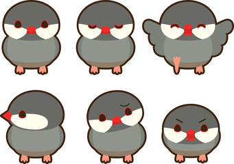 桜文鳥　フチあり