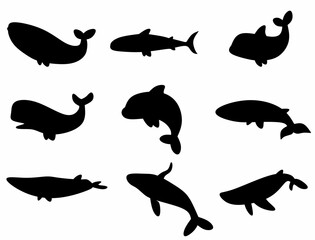 silhouettes of whales