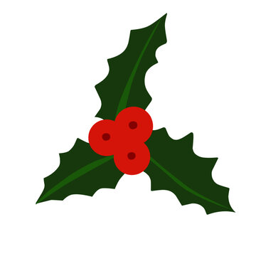 holly berries and christmas leaf icon