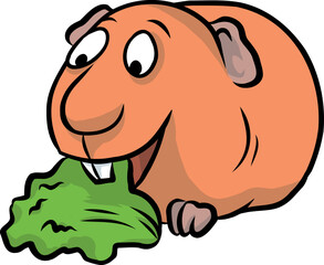 Niedliches Meerschweinchen knabbert ein gesundes grünes blatt salat