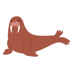 Cute walrus animals, funny northern seal with huge tusks, adorable arctic mammal. flat cartoon, vector illustration isolated on white background
