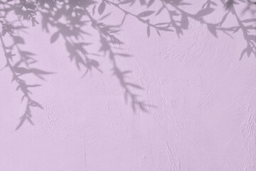 Shadow of leaves on purple concrete wall texture with roughness and irregularities. Abstract trendy...