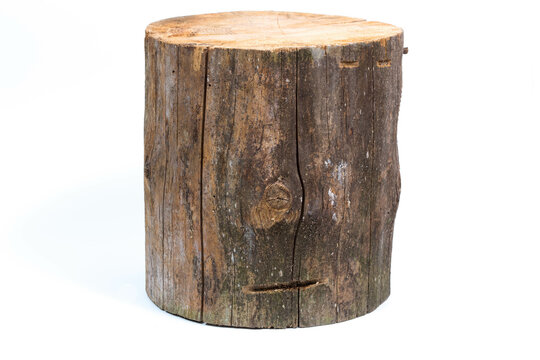 log stump isolated on a white background