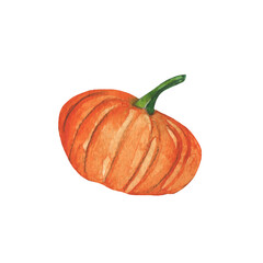 Pumpkin.Farm illustration.Watercolor of element on white background.
