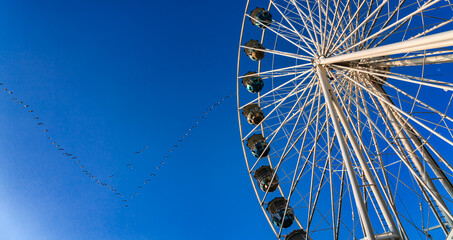 Obraz premium Zugvögel mit Riesenrad