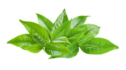 Tea leaf isolated on transparent png